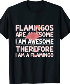 Flamingos Are Awesome I Am Awesome Therefore I Am a Flamingo Tee Shirt