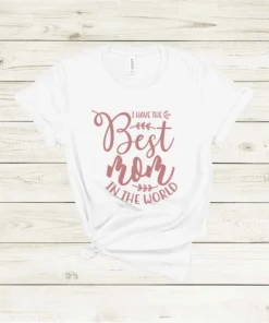I have The Best Mom In The World Mothers Day Tee Shirt