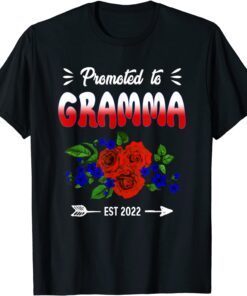 Promoted to Gramma Again New Gramma Mothers Day Tee Shirt