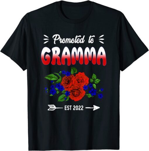 Promoted to Gramma Again New Gramma Mothers Day Tee Shirt