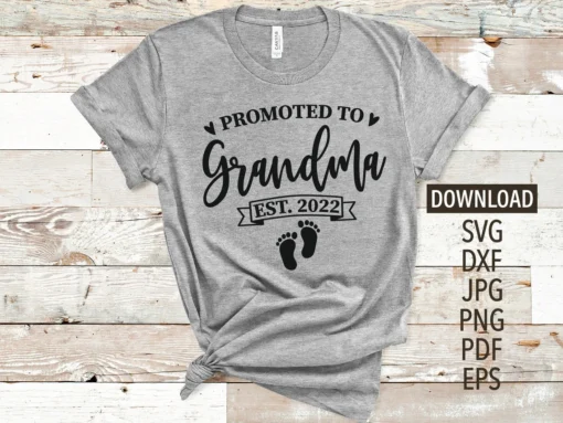 Promoted to Grandma Est. 2022 Mother's Day Tee Shirt