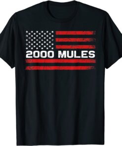 2000 Mules Pro Trump 2024 anti-biden 2000 Mules Game Is Over Tee Shirt