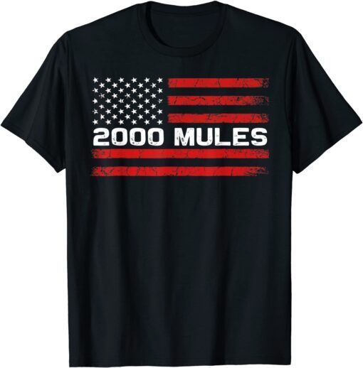 2000 Mules Pro Trump 2024 anti-biden 2000 Mules Game Is Over Tee Shirt