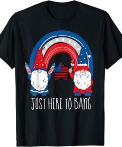 4th July Fireworks Just Here To Bang rainbow Gnome Tee Shirt