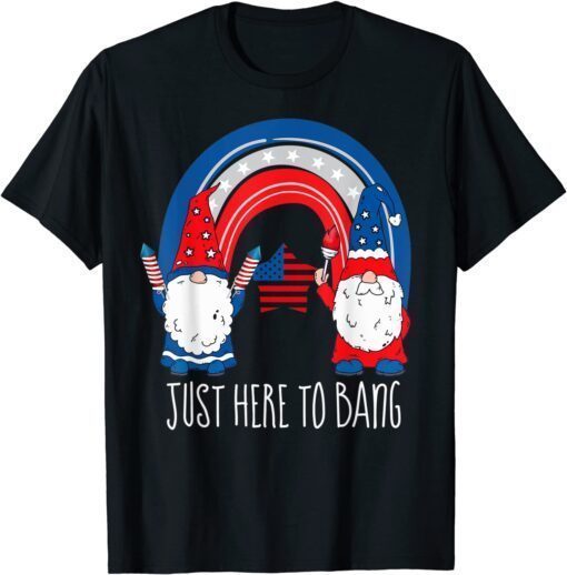 4th July Fireworks Just Here To Bang rainbow Gnome Tee Shirt