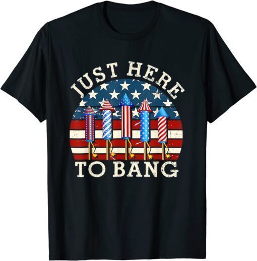 4th Of July I'm Just Here To Bang Tee Shirt