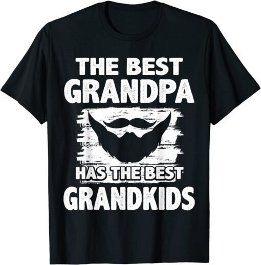 Fathers Day Tee For Papa - Best Grandpa Has Best Grandkids Tee Shirt