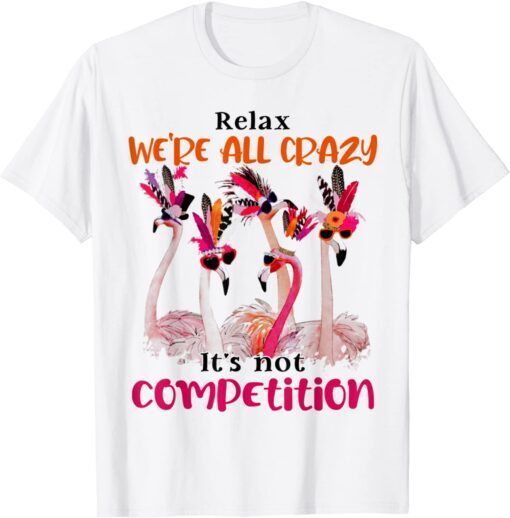 Flamingo We Are All Crazy It's Not Competition Tee Shirt