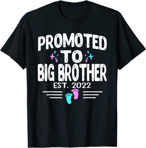 Promoted To Big Brother Est 2022 Gender Reveal Pink Or Blue Tee Shirt