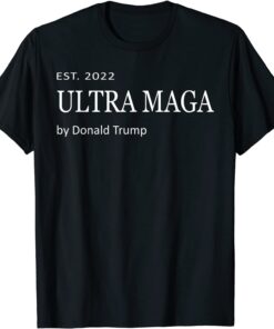 Ultra Mega Eagle 2022 USA Flag Tee Shirt