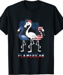 4th of July US Flag Patriotic Flamingo Flamerica T-Shirt