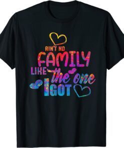 Ain't No Family Like The One Family Reunion 2022 Tee Shirt