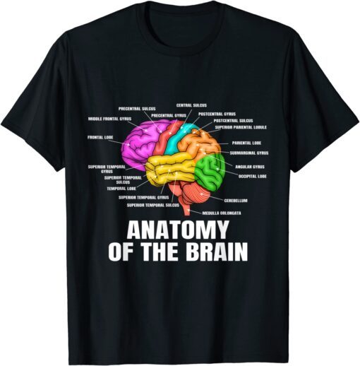 Anatomy Of The Brain - Medical Science and Physiology Tee Shirt