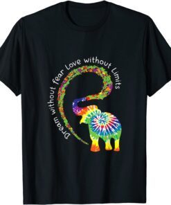 Dream Without Fear Love Elephant LGBT Pride Tie-Dye Tee Shirt