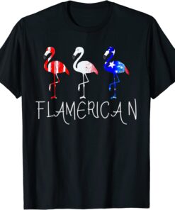 Flamerican Flamingo US American Flag 4th July Fourth Tee Shirt