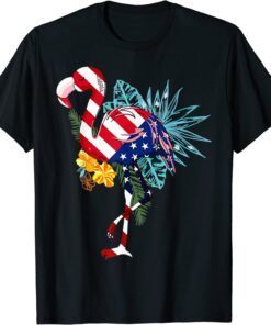 Flamingo American Flag Flamerica Patriotic 4th of July T-Shirt