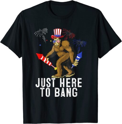 Fourth Of July 4th Of July I'm Just Here To Bang Tee Shirt