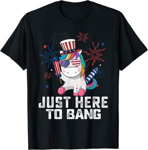 Fun Unicorn Fourth of July 4th of July I'm Just Here To Bang Tee Shirt