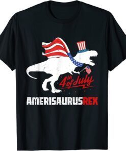 Independence Day American Flag T-Rex 4th of July Dinosaur Tee Shirt