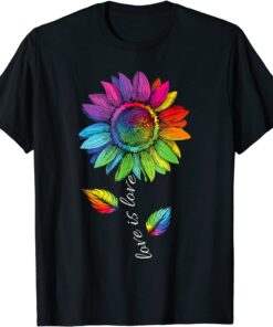 Love is Love Gay Pride LGBT Flag Heart LGBT Pride Month Tee Shirt