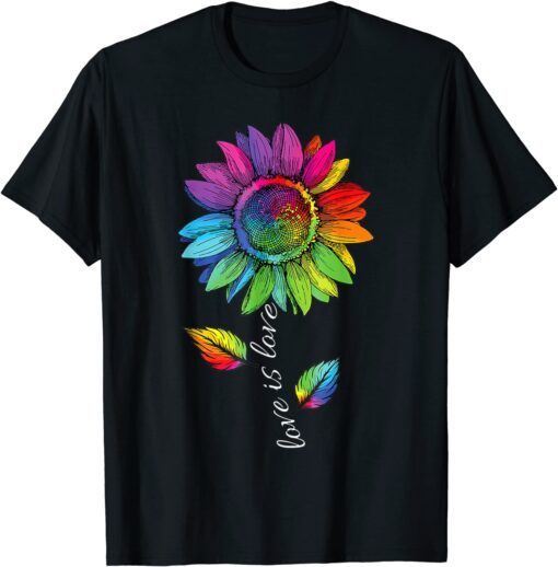 Love is Love Gay Pride LGBT Flag Heart LGBT Pride Month Tee Shirt