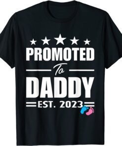 Promoted To Daddy Est 2023 Gender Reveal Pink Or Blue Tee Shirt