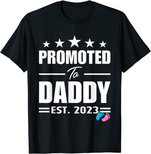 Promoted To Daddy Est 2023 Gender Reveal Pink Or Blue Tee Shirt