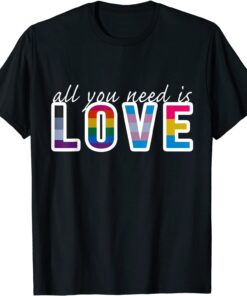 all you need is love Pride Rainbow Flags Gay LGBT T-Shirt