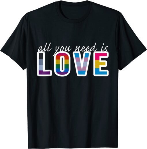 all you need is love Pride Rainbow Flags Gay LGBT T-Shirt