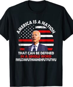 America Is A Nation That Can Be Defined In Single Tee Shirt