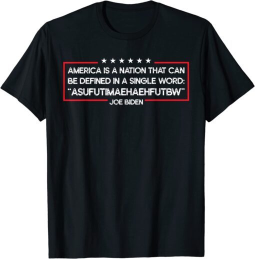 Biden America Can Be Defined In Single Word Tee Shirt