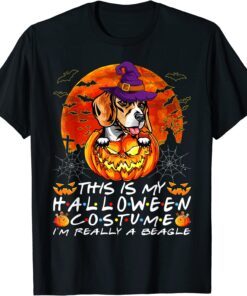 Halloween Costume I'm Really A Beagle Dog Pumpkin Tee Shirt