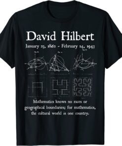 Nerdy Vintage David Hilbert Mathematics Quote Math Teacher Tee Shirt