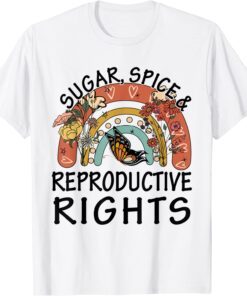 Rainbow Sugar Spice Reproductive Womens Rights Feminist Tee Shirt