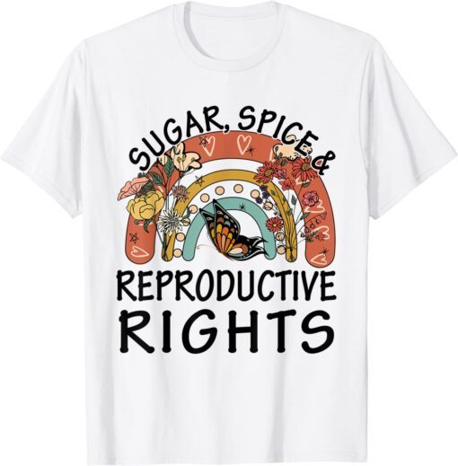 Rainbow Sugar Spice Reproductive Womens Rights Feminist Tee Shirt