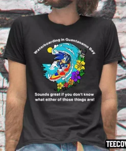 Sonic Waterboarding In Guantanamo Bay Tee Shirt