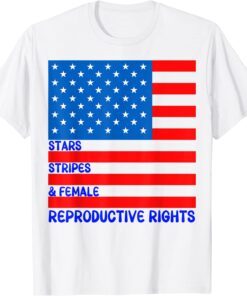 Stars Stripes & Equal Rights 4th Of July Independence T-Shirt