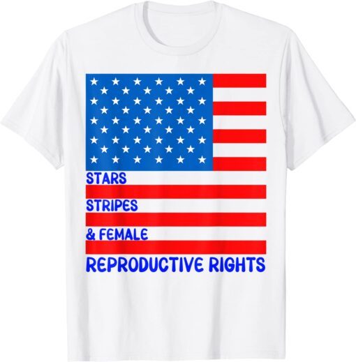 Stars Stripes & Equal Rights 4th Of July Independence T-Shirt