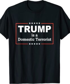 Trump Is A Domestic Terrorist Quote Tee Shirt