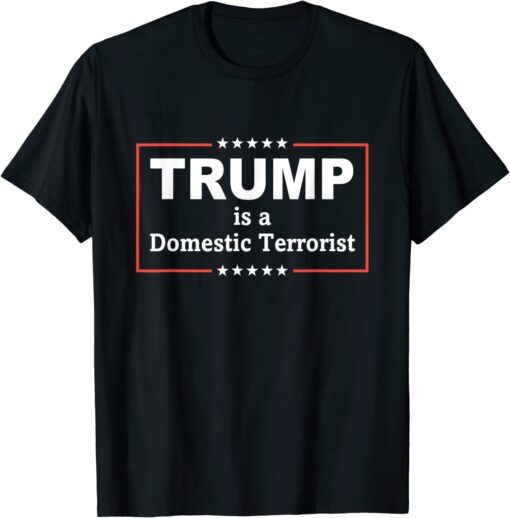 Trump Is A Domestic Terrorist Quote Tee Shirt