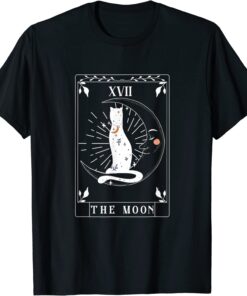 Arot Card He Moon Astrology Crescent Moon And Cat Tee Shirt