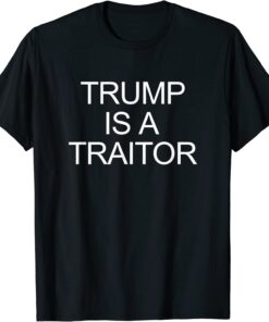 Trump Is A Traitor - Tee Shirt