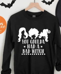 You Coulda Had A Bad Witch Tee Shirt