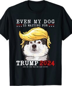 Alaskan Malamute Dog Even My Dog Is Waiting For Trump 2024 Tee Shirt