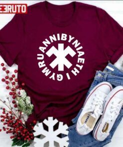 Annibyniaeth I Gymru Eryr Wen Tee Shirt