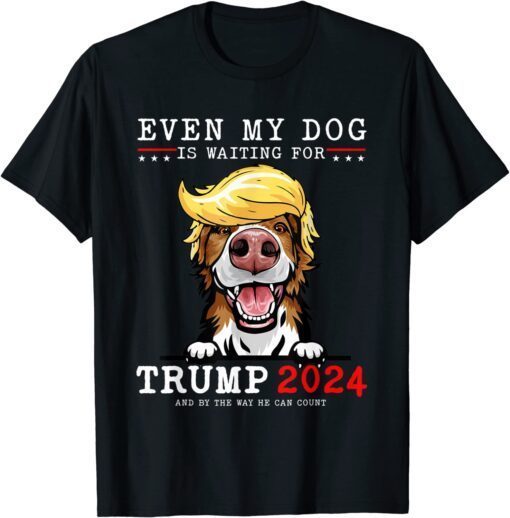 Border Collie Dog Even My Dog Is Waiting For Trump 2024 Tee Shirt