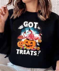 Got Treats Pumpkin Festival Flamingo Got Treats Pumpkin Halloween T-Shirt