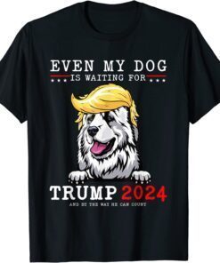 Great Pyrenees Dog Even My Dog Is Waiting For Trump 2024 Tee Shirt