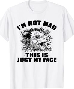 Opossum I'm Not Mad This is Just My Face Possum Lovers Tee Shirt