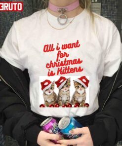 All I Want For Christmas Is Kittens Tee Shirt